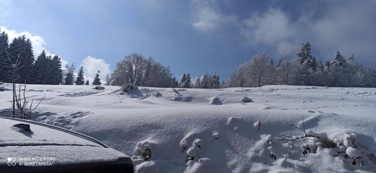 Chata Z Widokiem Na Babia Gore Pewel Wielka Экстерьер фото